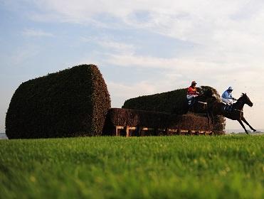 Two of Tuesday's bets come from Hexham